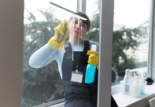 Nettoyage de vitres intérieures et extérieures à Tréogat